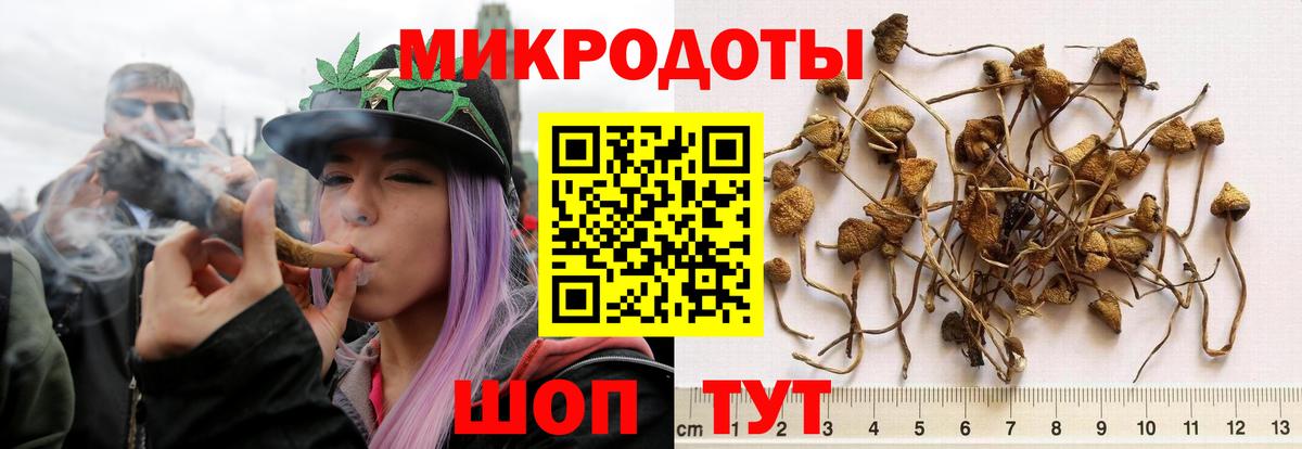 Псилоцибиновые грибы Psilocybine cubensis  Вход с VPN  Воткинск 
